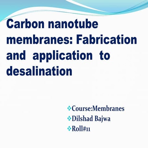    carbon nanotube Membranes #11
