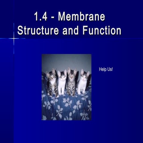 Membrane IB