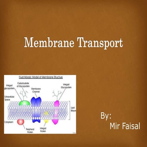 Membrane transport