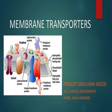 Transport across Plasma Membrane 