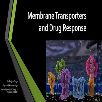 Membrane transporters and drug response