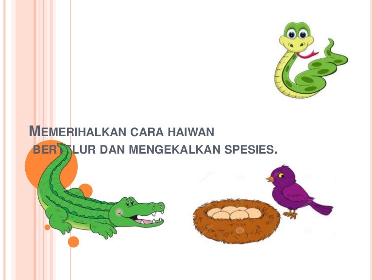 haiwan imaginasi tahun 5
