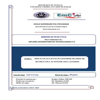 Memoire final sfallou