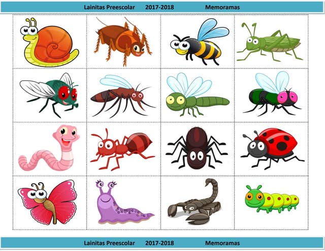 MEMORAMA INSECTOS.pdf memorama-insectos-pdf