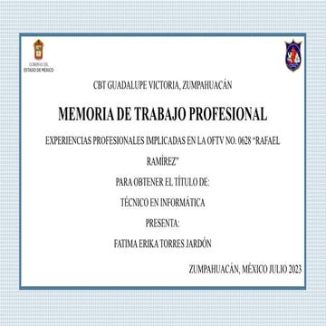 Memoria-De-Trabajo-Profesional_Erika.pptx