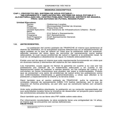 Memoria descriptiva trapiche