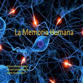 Memoria humana power point