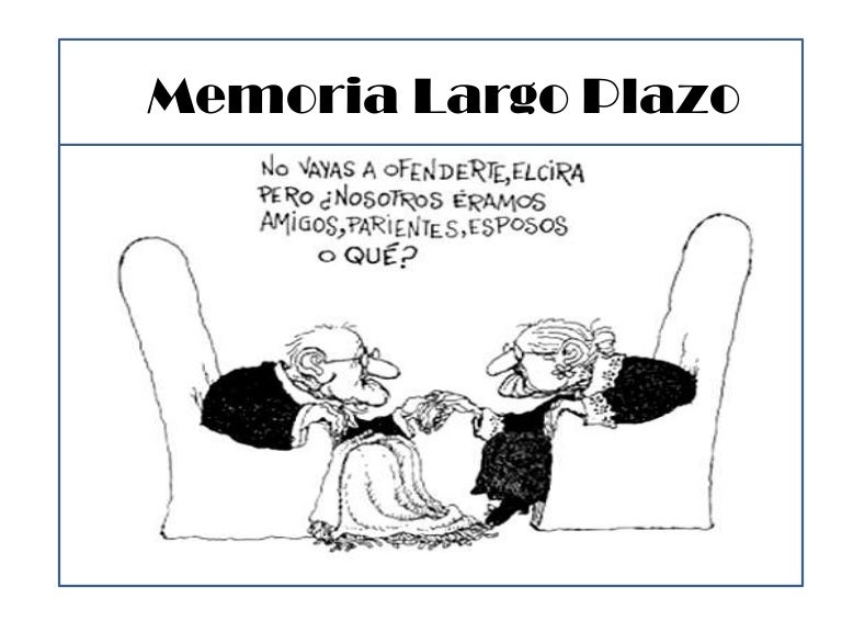 perdida memoria a corto plazo memoria largo plazo perdida memoria a corto plazo memoria largo plazo
