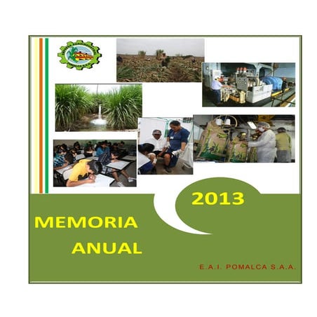 Memoria pomalca | PDF