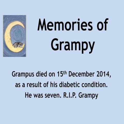 Memories of Grampy
