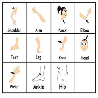 Memori partes del cuerpo  calentami...