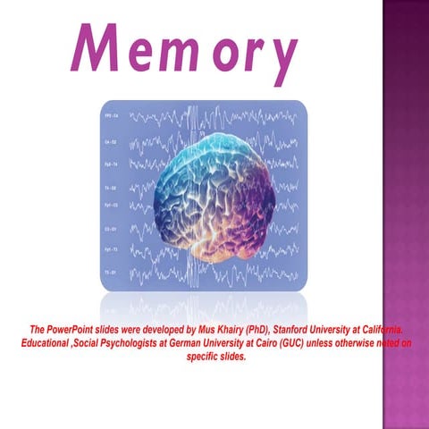 Theories of forgetting