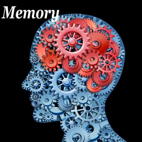 10 Facts About Memory : How Memory Works – YJDYB