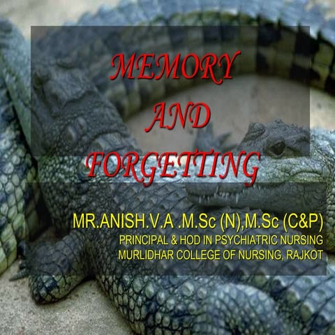 Memory and Forgetting