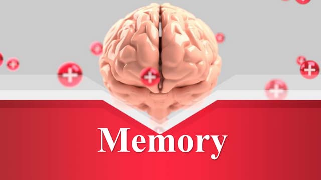 Memory and its types 