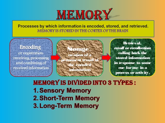 Memory 