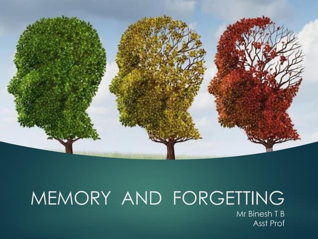 Memory and forgetting in psychology 