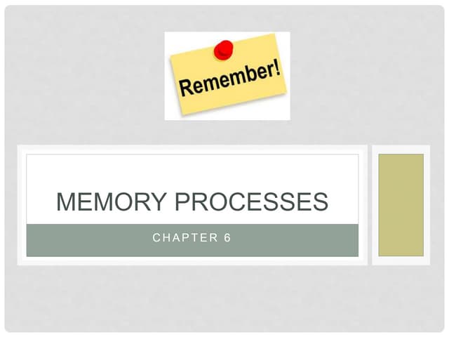 Memory processes