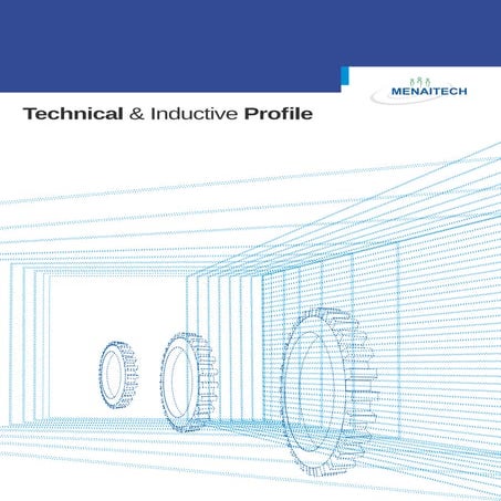 MenaITech Technical Profile 