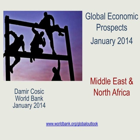Middle East and North Africa Outlook, Jan 2014