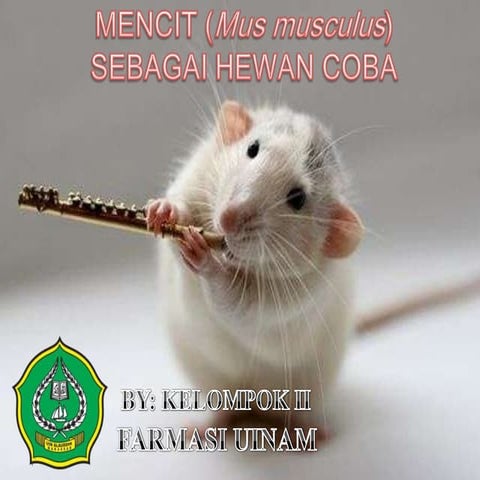 Mencit (mus musculus) sebagai hewan coba