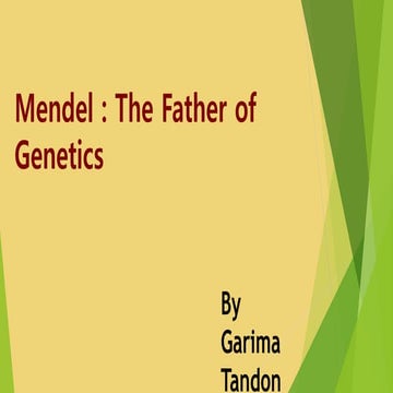 Mendel by Garima