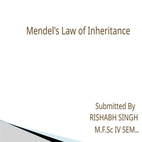 MENDALS LAW ..RISHABH.pptx  Mendals law of inheritance  oLaw of Dominance oLa...