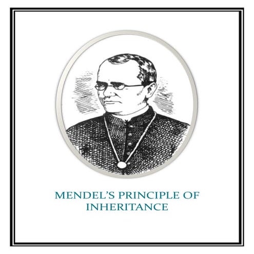 Mendel's law of inheritance