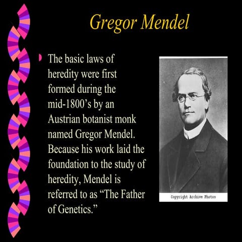 Genetics And Mendel 1201627175681907 2 | PPT