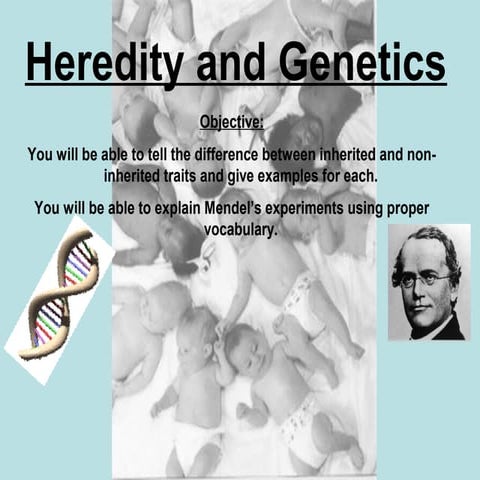 Mendel and genetics