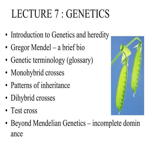 mendelian genetics and hereditynnnn.pptx