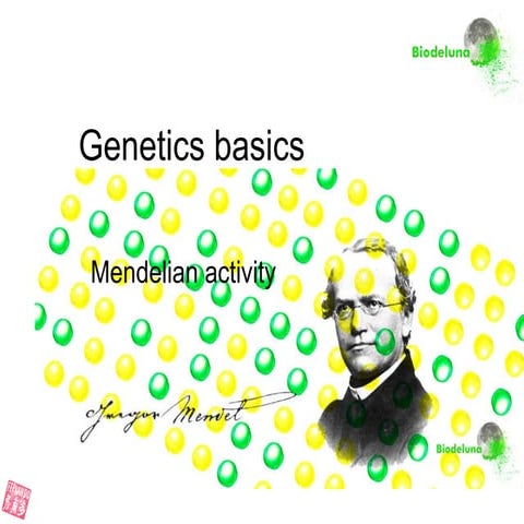 Mendelian Genetics Basics Fernando