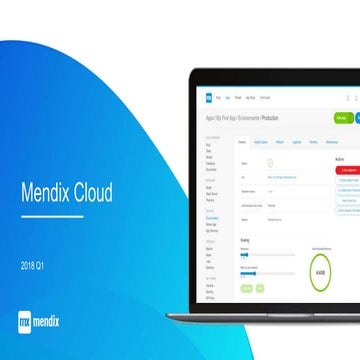 Mendix Cloud Hosting on CloudFoundry