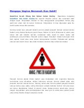 Meghan Wawak Resume