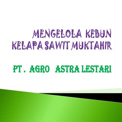 Mengelola kebun kelapa sawit muktahir .ppt