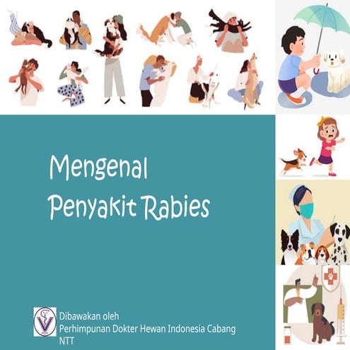 Mengenal Penyakit Rabies dan pencegahannya.pptx