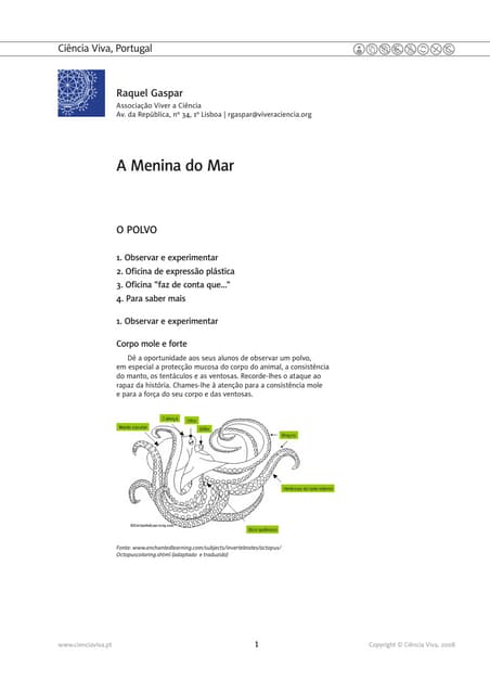 "A Menina do Mar" - Ficha Pedgógica nº3 "O polvo"