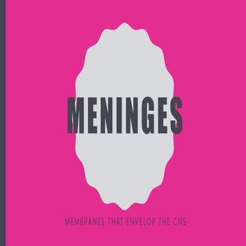 Meninges - Anatomy of the Meninges & CSF