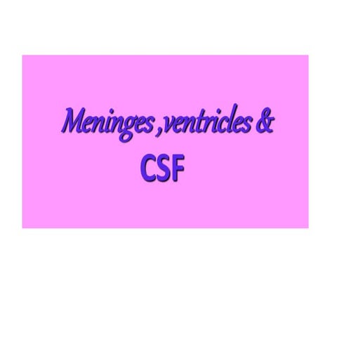 Meninges.ppt