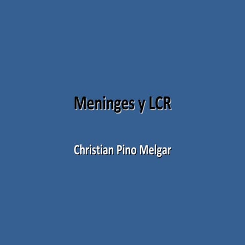 Meninges Y  L