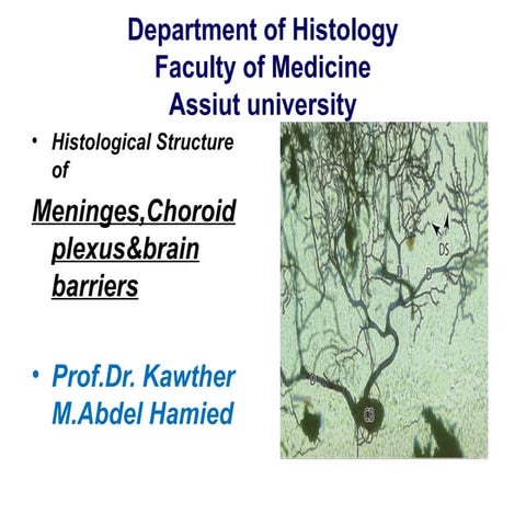 Meninges,Choroid Plexus&Brain Barriers..ppt