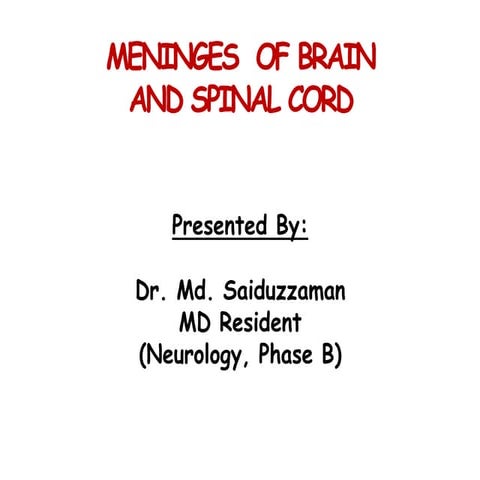 Meninges of brain and spinal cord
