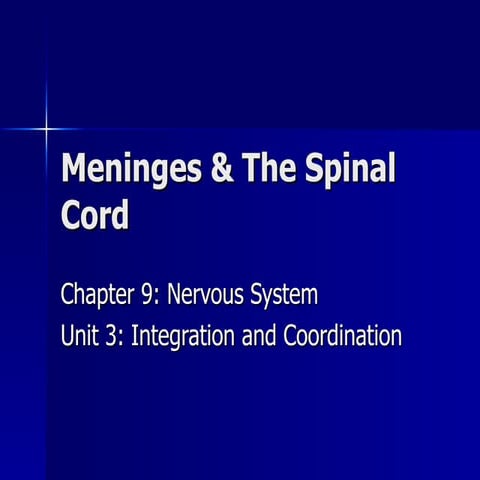 Meninges  the_spinal_cord