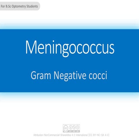 Meningococci