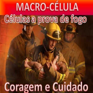 Coragem e Cuidado