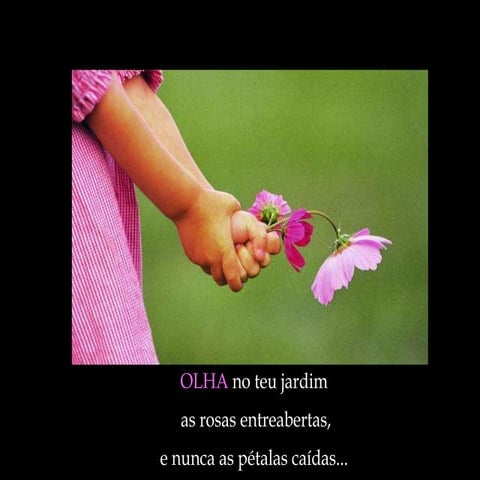 Mensagem de otimismo