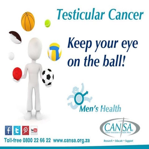 Testicular Self Exam Presentation | PPTX