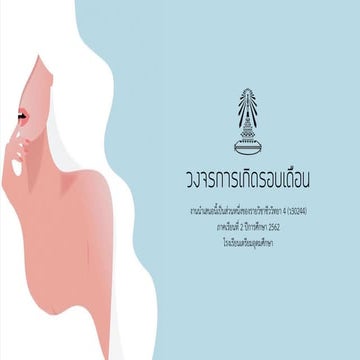Menstrual Cycle | PDF