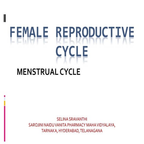 Menstrual cycle