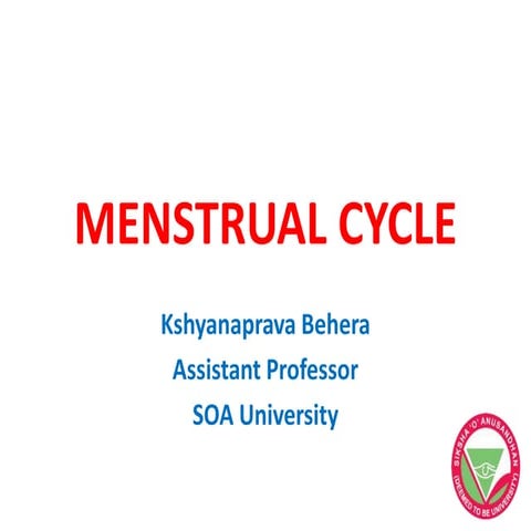 Menstrual cycle